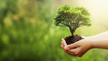 EPD – Environmental Product Declaration