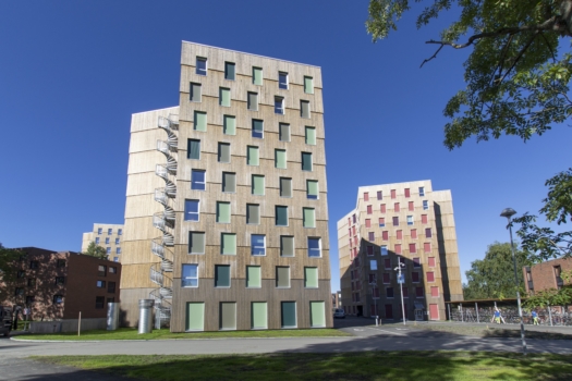 kebony-character-moholt-student-housing-c-mdh-arkitekter-9-min