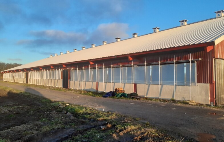 Växande lantbruk på Gotland väljer limträ