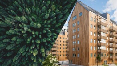 Spårbart trä – en förutsättning för hållbart byggande