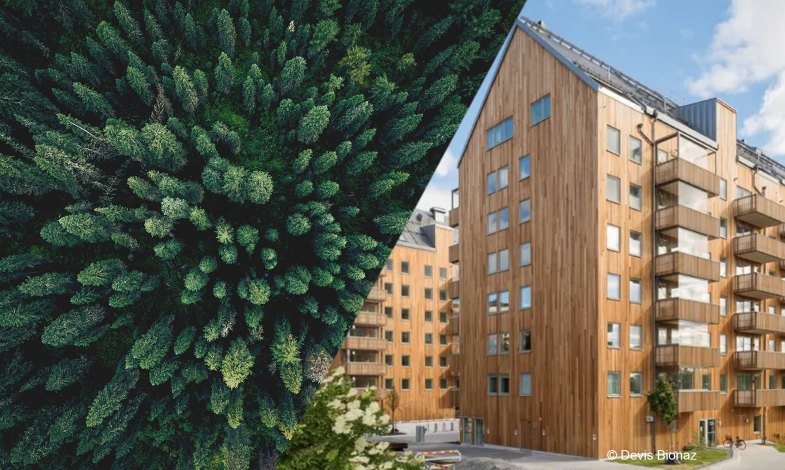 Spårbart trä – en förutsättning för hållbart byggande