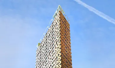Trätoppen
