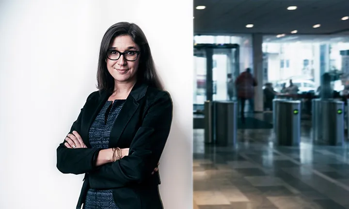 Lena-Hök