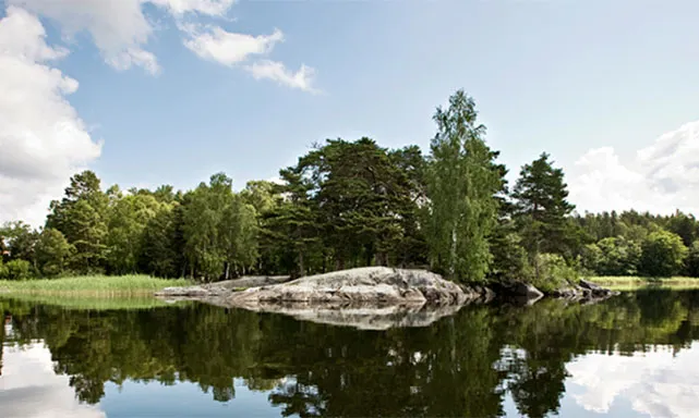 Bornsjön