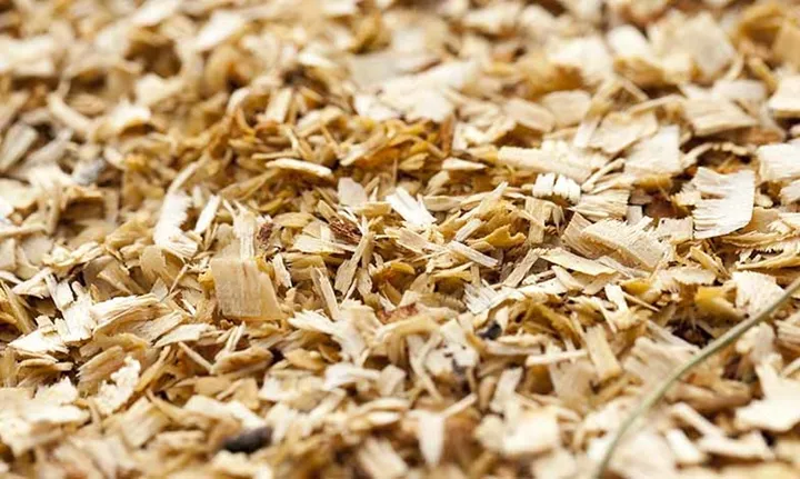 sawdust close up