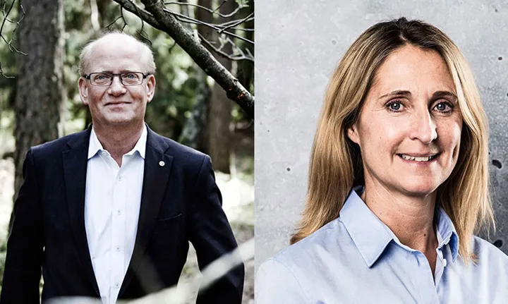 Duell-trä-mot-betong