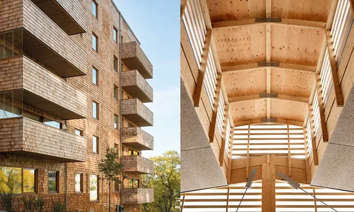 Kina-hämtar-inspiration-från-svenskt-träbyggande