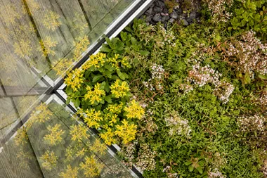 Urbangreen