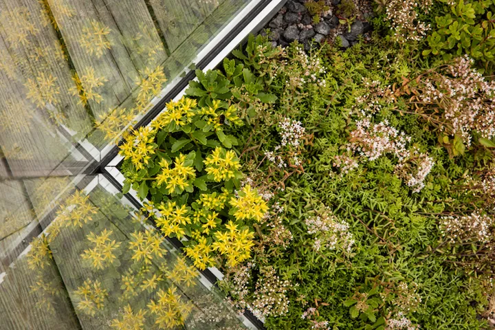 Urbangreen