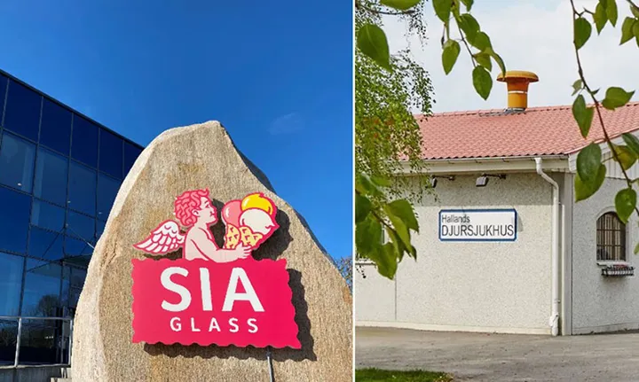 Spillvärme från glassfabrik värmer upp djursjukhus