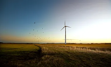Wästbygg satsar på vindkraft och solcellspark