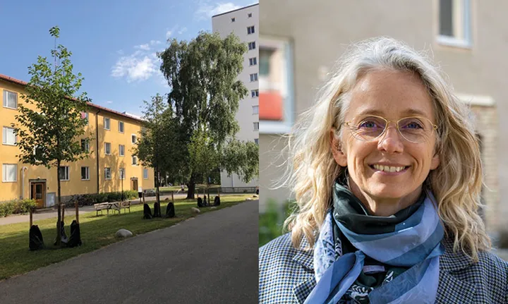 Trädplantering ger gröna poäng på Skebokvarnsvägen