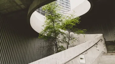 ESG