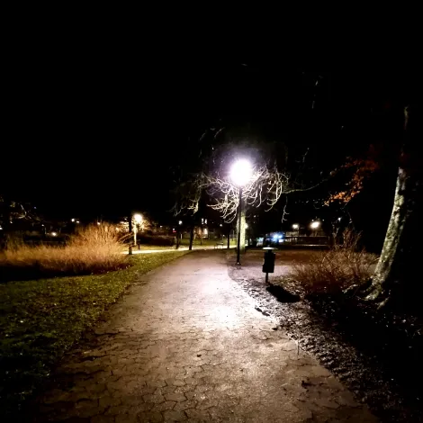 Kyrkparken web