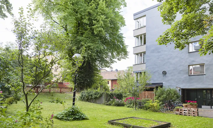 SKB lägenheter trädbestånd innestaden