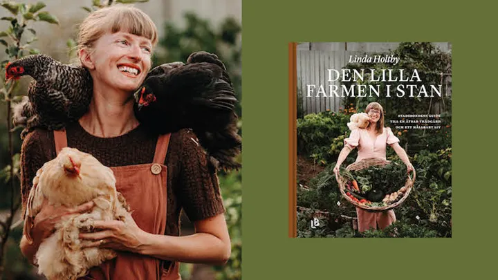Lilla farmen web