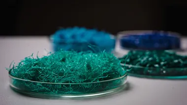plast web