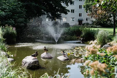 Augustenborg web