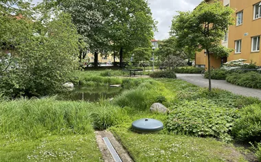 Augustenbarg web
