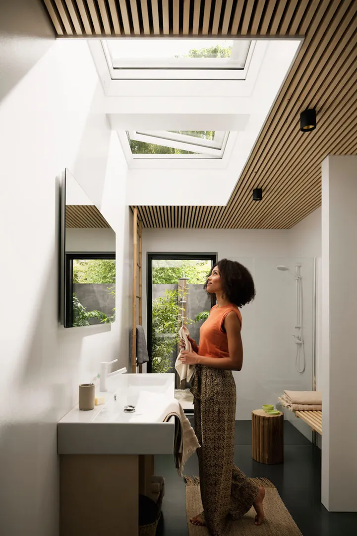 VELux web