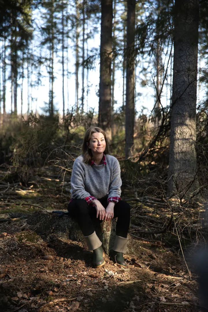 Ida virke web
