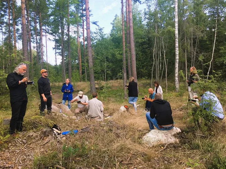 Skog
