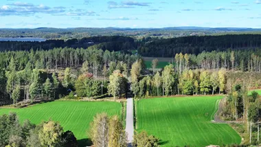 Forskning