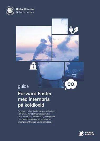 GCNS_Guide_Internpris_Sida_01