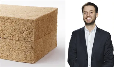 Hampa