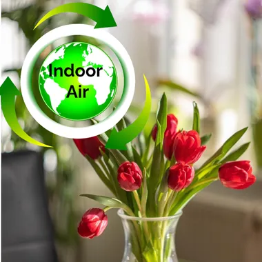Indoor air