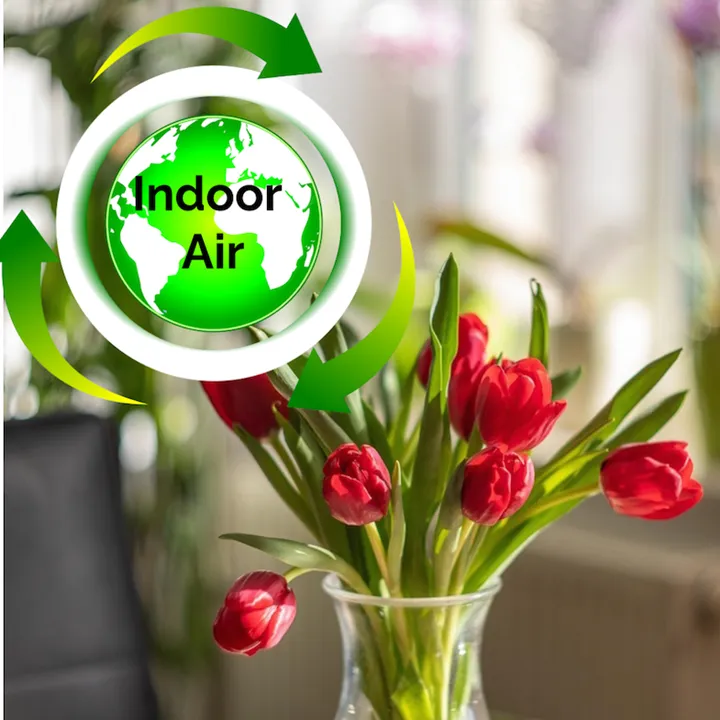 Indoor air