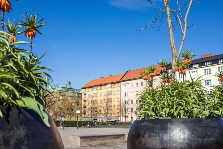 Malmo¨