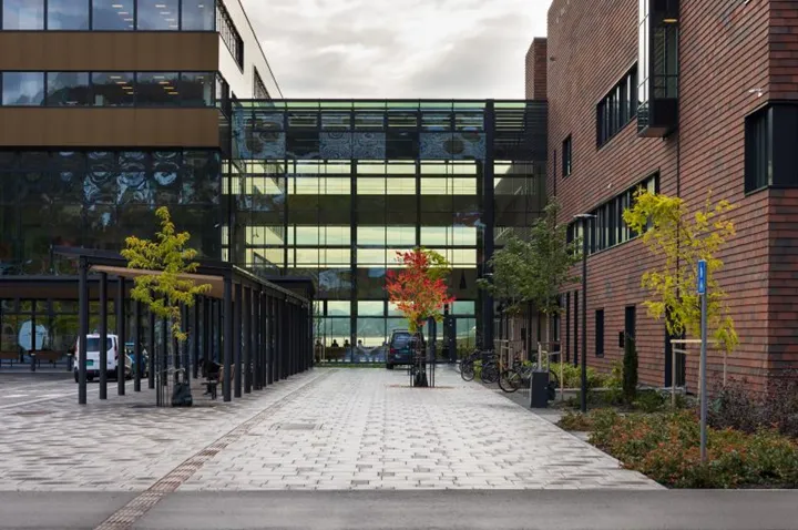 Nytt sykehus Drammen, Trond Isaksen, LINK Arkitektur_Bølgeblikk_Ratio (43)