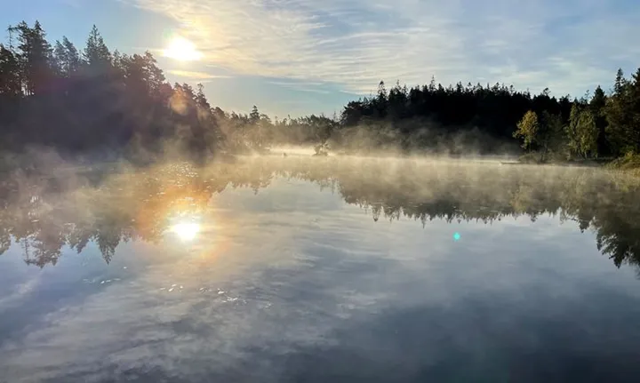 dimma sjö