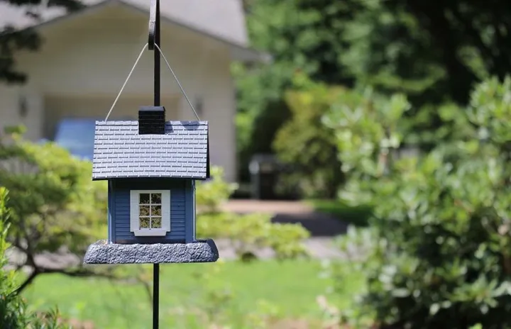 ifd_photography-birdhouse-2216747_1920