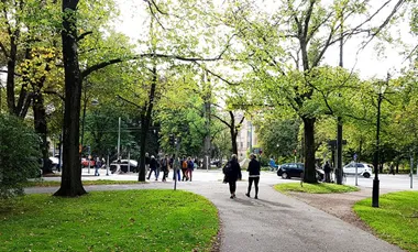 Grön promenad
