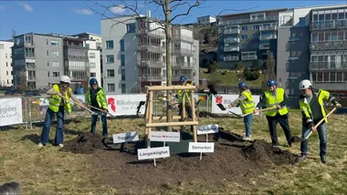 Spadtag Stensjöparken 3 vid träd