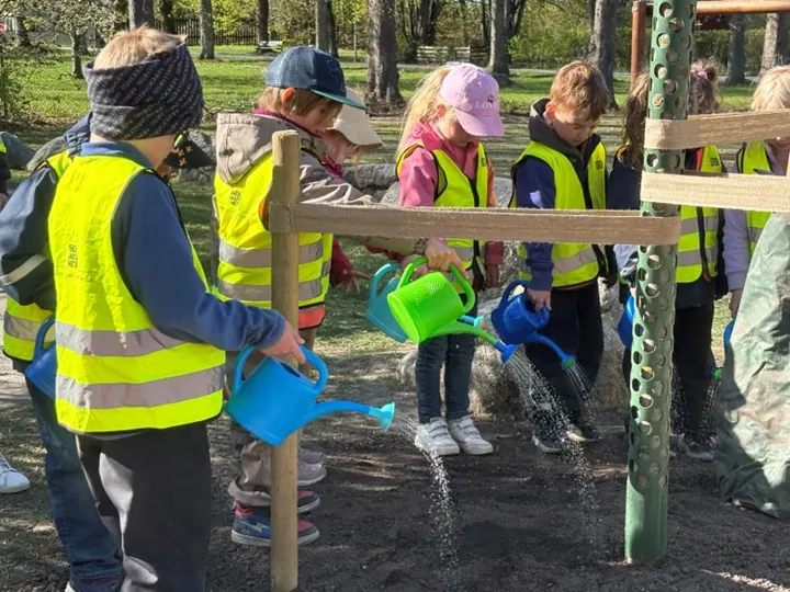 Barnen på Årstaparkens förskola deltog med liv och lust i vattnandet av det nyplanterade trädet (1)