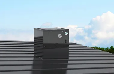 TFC_roof