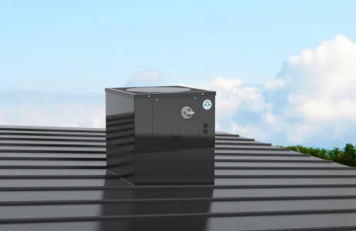 TFC_roof