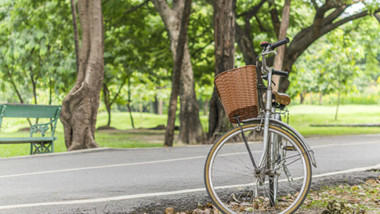 Svenskarna önskar sig grönare städer