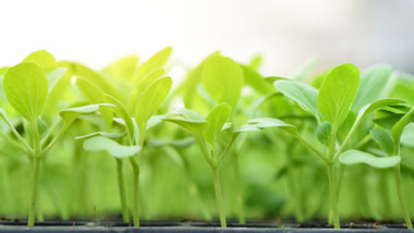 Start för utvecklingsprojekt i Solberga