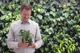 Rymdteknik och intelligenta växter renar luften