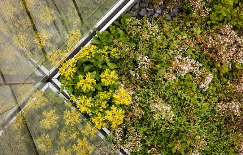 Urbangreen bygger gröna tak åt Vasakronan