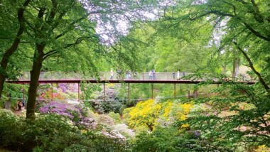 Stålbyggnadspriset till Sofieros bro