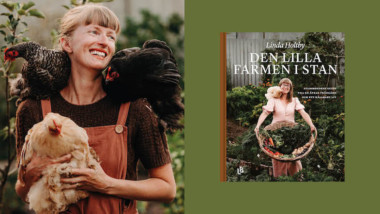 Den lilla farmen i stan – ny bok om odling och hållbarhet