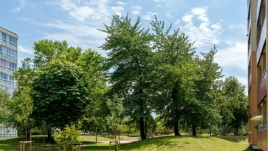 Ambitiöst miljöprogram gör Malmö till en grönare stad