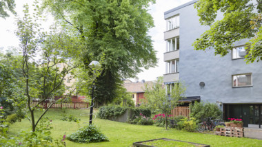 Träd för miljonbelopp