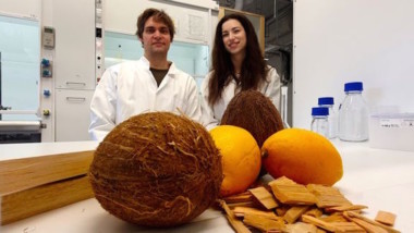 Ny innovation: transparent batteri av trä, citron och kokos