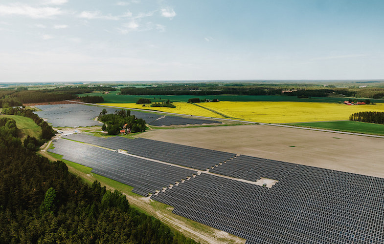 Sveriges största solpark invigd – ska driva Gröna Lund, Kolmården och Skara Sommarland